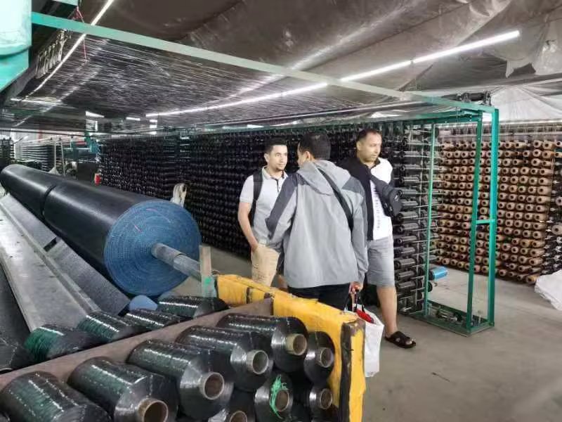 Hace1895d05d7452090eff932e1f9ba8fe