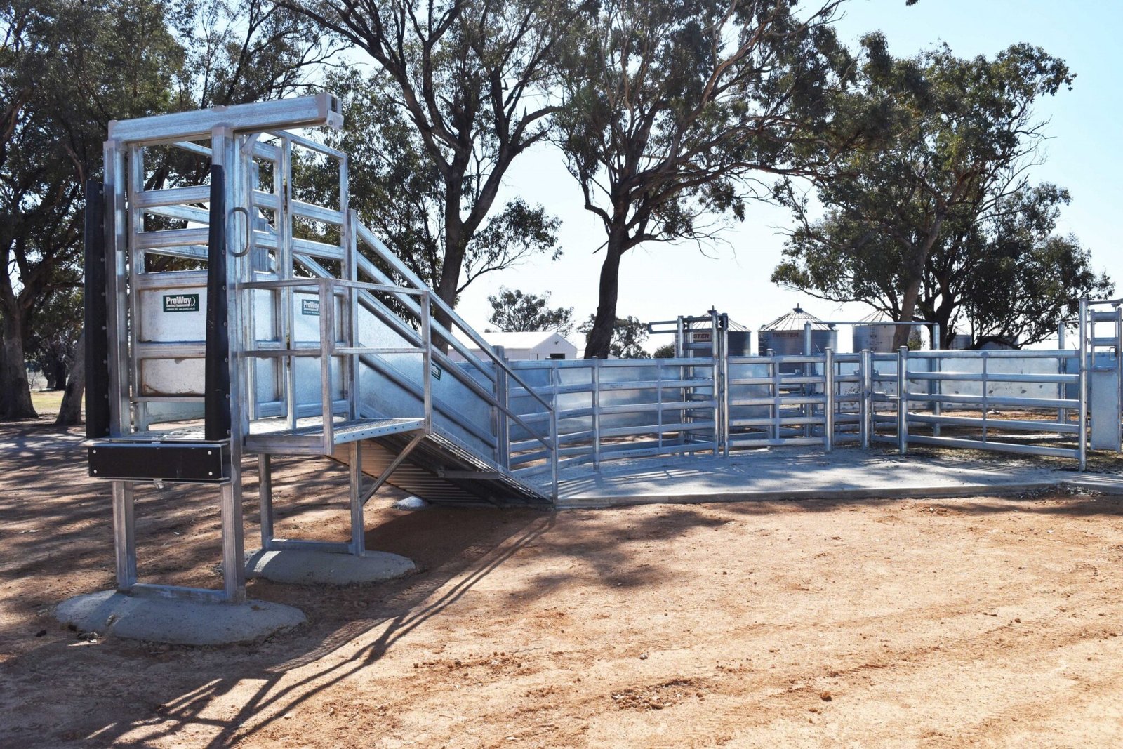 Cattle Loading Ramps for Sale – Heavy Duty & Adjustable Design