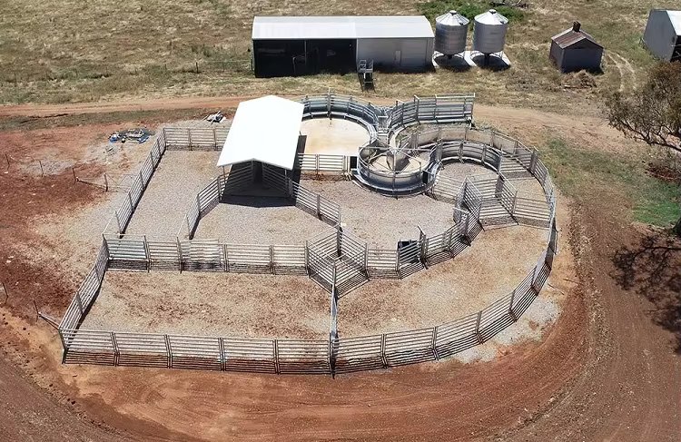 Australia Cattle Farm Equipment Cattle Panels For Sale Galvanized Cattle Yard Panel For Corral