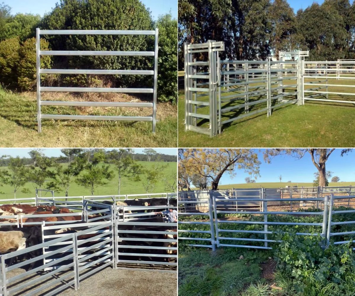 Australia Cattle Farm Equipment Cattle Panels For Sale Galvanized Cattle Yard Panel For Corral