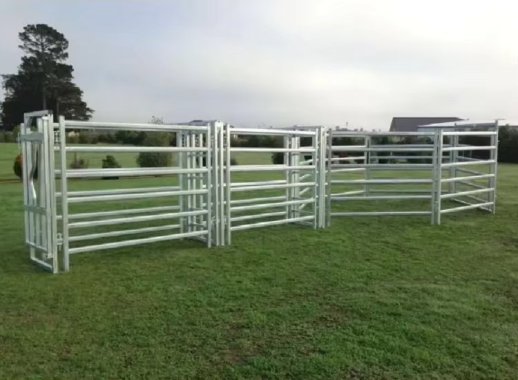 Australia Cattle Farm Equipment Cattle Panels For Sale Galvanized Cattle Yard Panel For Corral